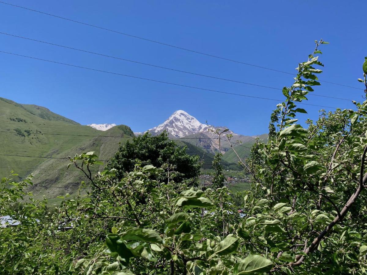 Geo Inn Kazbegi Exterior photo