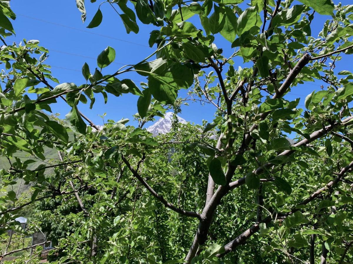 Geo Inn Kazbegi Exterior photo